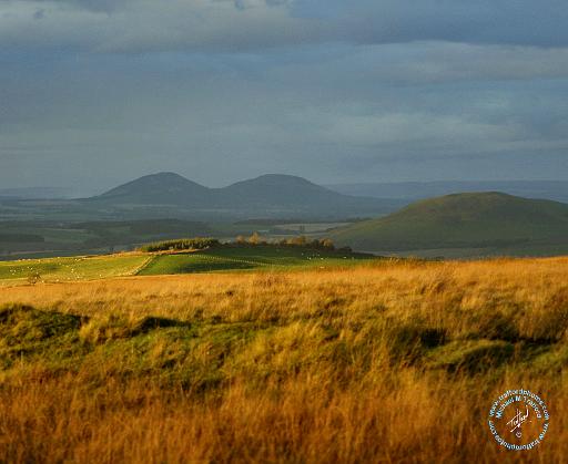 Scottish Borders Eildon Hills 9R100D-100.JPG